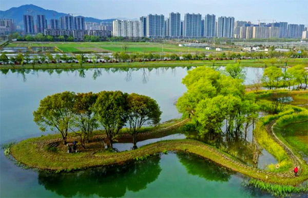 阳陂湖景区
